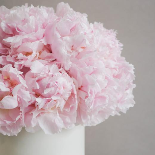 「Peony Season」无尽之夏 Eternal May 商品图1