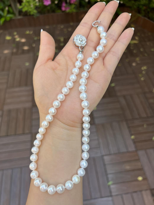 55-2母亲节现货秒发 山茶花海贝纯银扣 9-10mm强光正圆淡水珍珠项链 商品图14