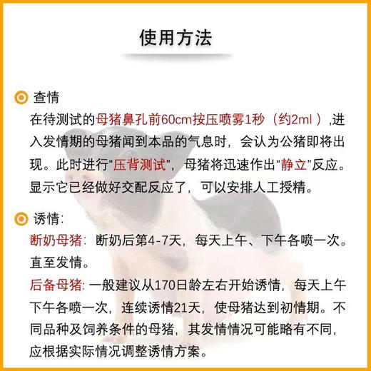 公猪气味剂进口母猪诱情剂养殖场种猪诱导促进发情喷雾喷剂250ml 商品图2