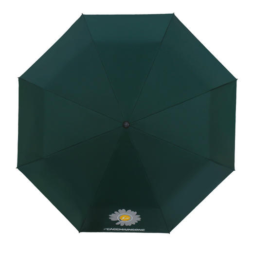 【轻盈若羽，清新雏菊，GD同款系小雏菊印花伞】全自动雨伞小雏菊 太阳伞自动伞 防晒防紫外线两用晴雨伞-QQ 商品图2