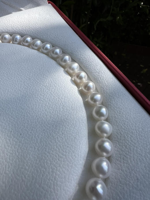 55-2母亲节现货秒发 山茶花海贝纯银扣 9-10mm强光正圆淡水珍珠项链 商品图5