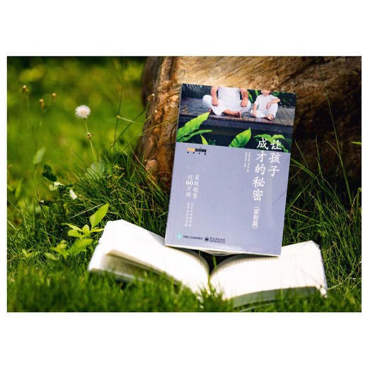 让孩子成才的秘密（家教篇） 商品图1