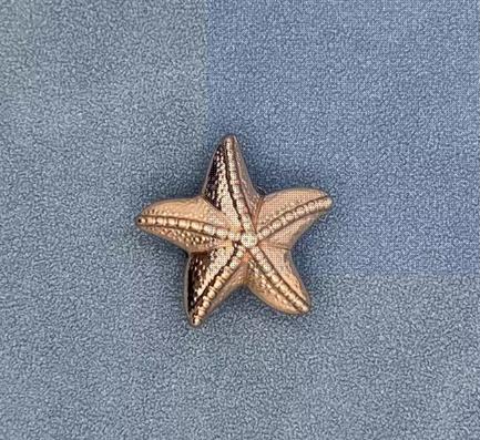 Crocs饰品智必星质感金色海星10011621 商品图0