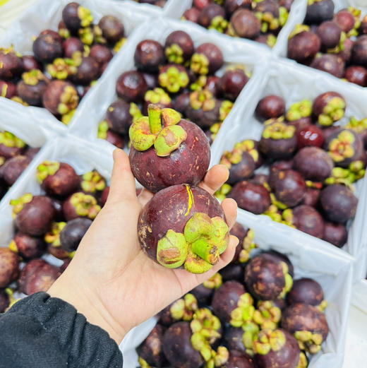 泰国空运4A山竹，5斤礼盒装一箱 商品图3