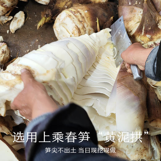 南食召 南式油焖笋 商品图3