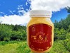 云南百花蜜 | 甄选产地 百花蜜清香甜润 富含多种氨基酸、活性酶、维生素【拾爸精选】 商品缩略图2