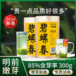【2024新茶上市】泥巴哥7星碧螺春明前嫩芽绿茶叶150g*2袋
