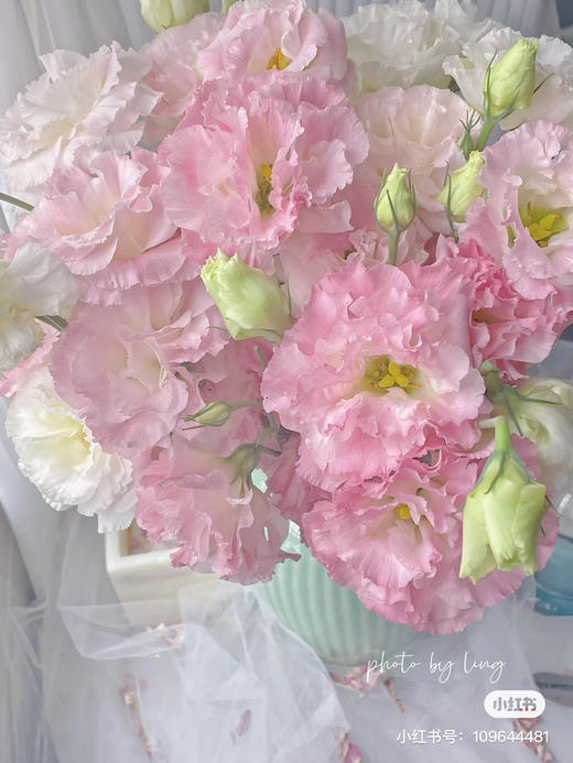 国产花材-【洋桔梗】阳光粉 商品图0