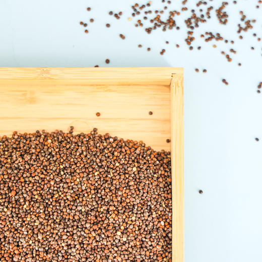 生态紫苏籽 | 合作生产 | *Ecological perilla seeds 商品图4