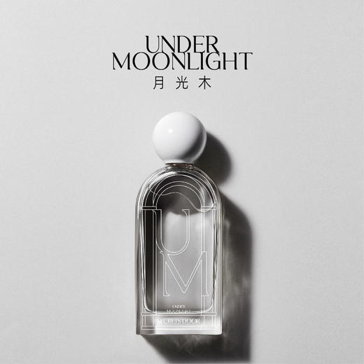 月光木 商品图0
