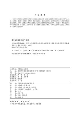 科技赋能国家战略 南方电网深圳供电局科技创新实践
