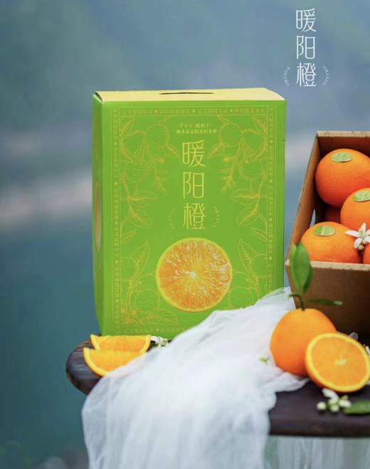 暖阳橙（8斤装） 商品图1