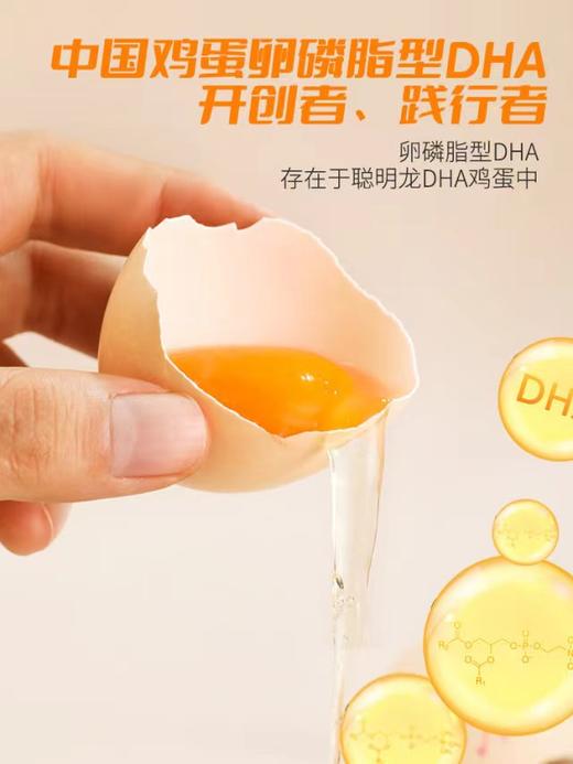 聪明龙 卵磷脂型DHA鲜鸡蛋，含量高，额外含ALA、叶黄素 商品图1