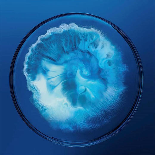 法国 Biotherm碧欧泉  男士蓝钻A醇玻色因紧致淡纹精华/爽肤水 套装 商品图8