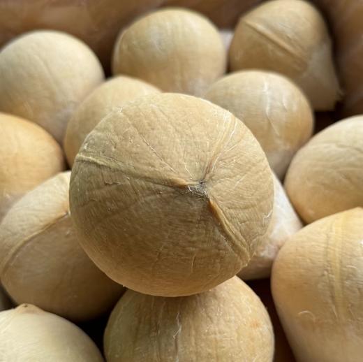 杞冠臻选 | 泰国进口 奶香椰皇 6个大果 单果450g左右 清甜奶香 顺丰陆运 商品图5