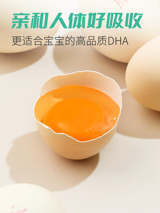聪明龙 卵磷脂型DHA鲜鸡蛋，新鲜 好吃不腥 吸收好 商品图1