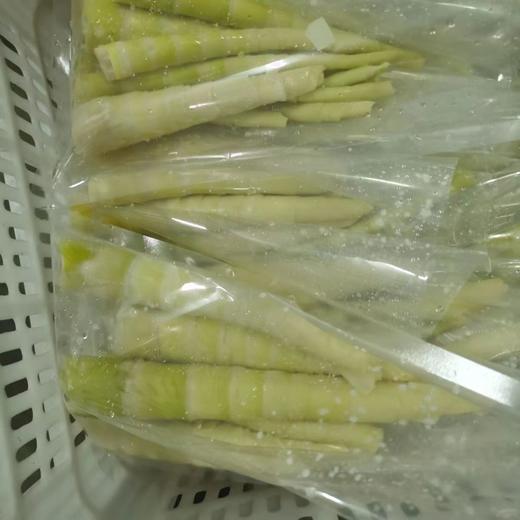 八乡纯野生苦笋 商品图4