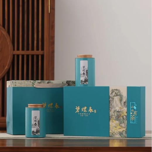 碧螺春绿茶 2026年新茶 炒青尝鲜装/特级/一级  2025dw 商品图3