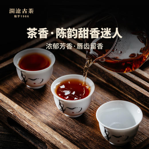 澜沧古茶2023年传奇澜沧名山古树熟茶鉴赏装68g 商品图4