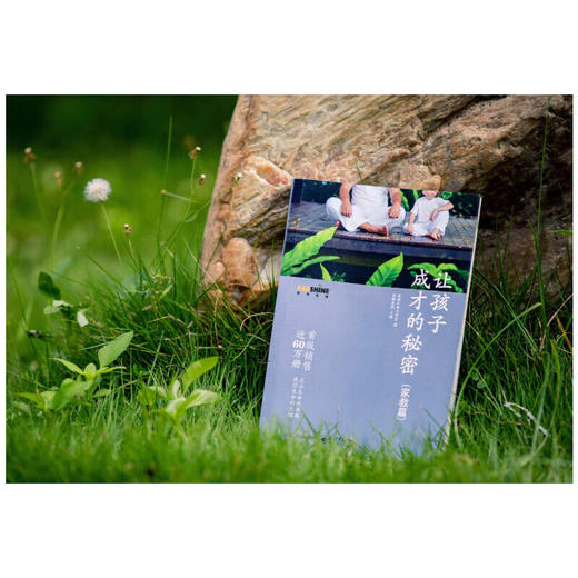 让孩子成才的秘密（家教篇） 商品图2