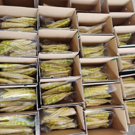 八乡纯野生苦笋 商品图5