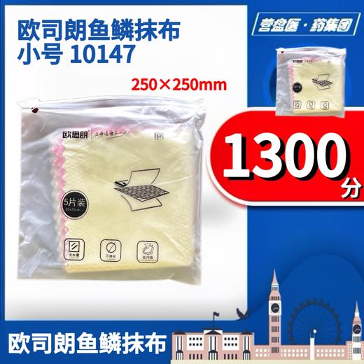 227676	欧司朗鱼鳞抹布小号 10147 商品图0