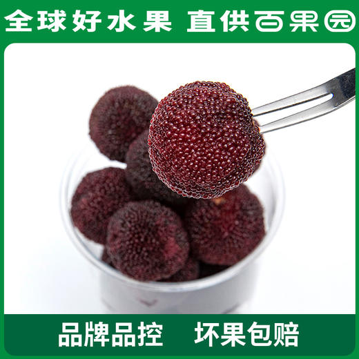 百果园 硬丝杨梅 3-3.5斤彩箱装 商品图0