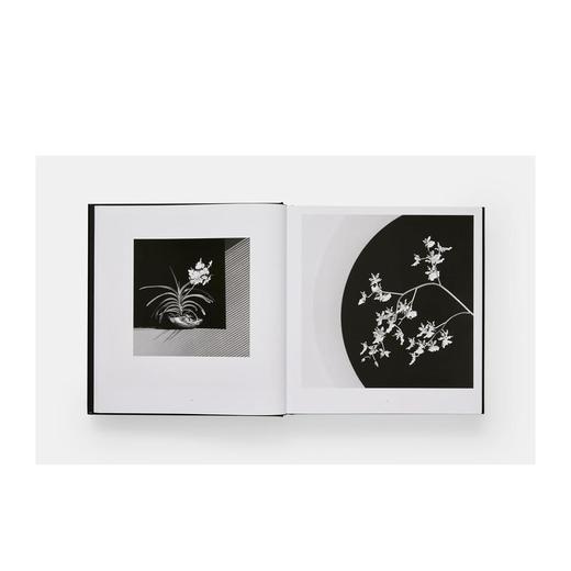 【现货】Mapplethorpe Flora : The Complete Flowers | 罗伯特·梅普尔索普的花卉：摄影全集 商品图3