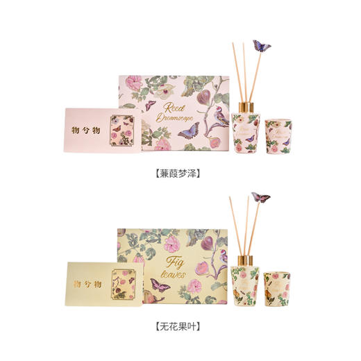 大英博物馆 博物志系列 苏里南 【蒹葭梦泽 【无花果叶】 香薰蜡烛 香氛套装礼盒 商品图4