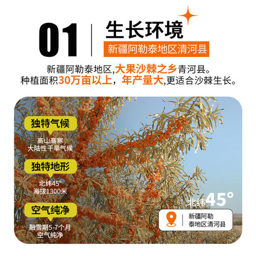 鲜时力 沙棘果浆后生元饮品 商品图3