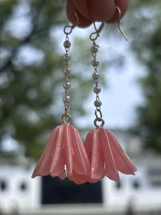 叶开泰草本耳饰 植物手作 送定制饰品袋 商品图5