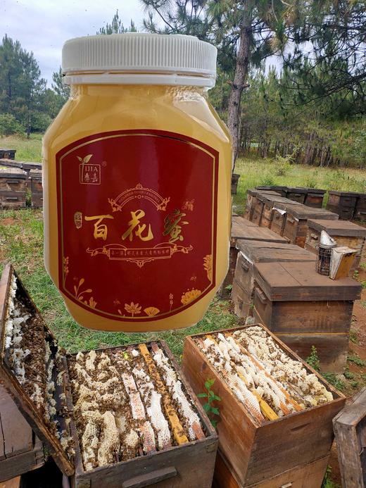 云南百花蜜 | 甄选产地 百花蜜清香甜润 富含多种氨基酸、活性酶、维生素【拾爸精选】 商品图0
