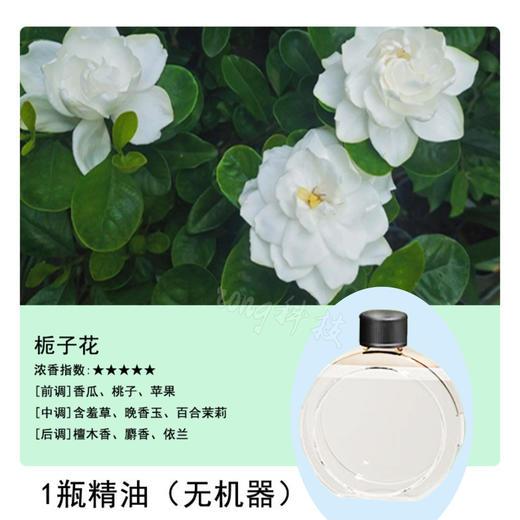 【智能香薰机，时刻享受芬芳~】香薰机自动喷香机 香氛机专用精油补充液 酒店智能数显厕所除臭喷雾 持久留香去除异味-QQ 商品图9