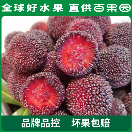 百果园 硬丝杨梅 3-3.5斤彩箱装 商品图2
