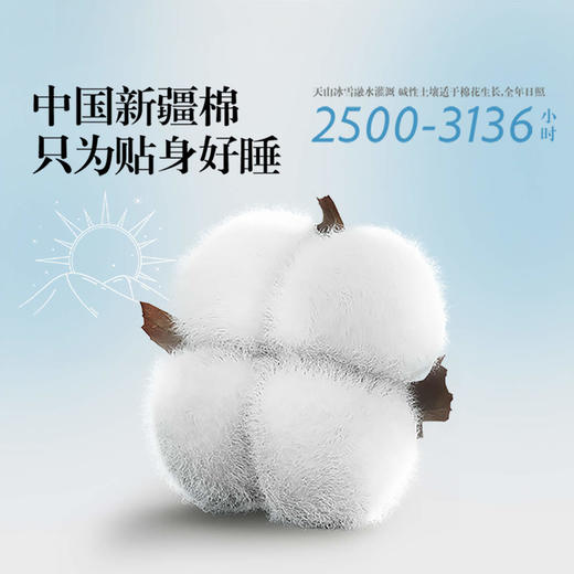 LOVO乐蜗   微风知晓 床品三/四件套(床笠款/床单款） 商品图4