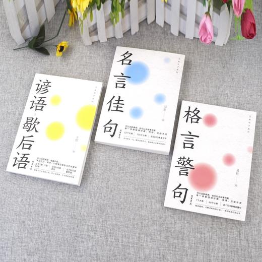 名言佳句+格言警句+谚语歇后语 名人名言经典语录国学经典 全3册 商品图3