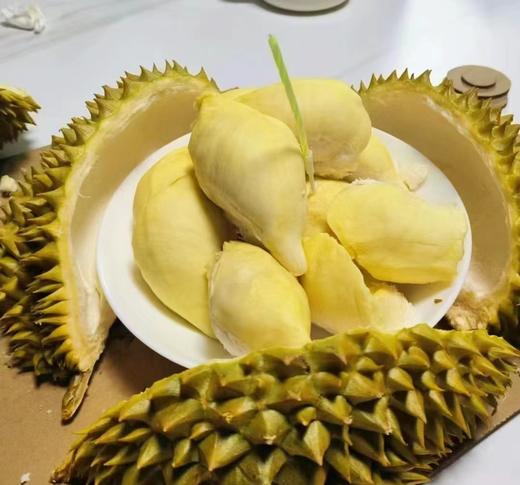 【金凤树熟金枕榴莲】树上熟  皮薄  果肉饱满绵密  榴莲味浓郁  果型好  回味无穷！ 商品图11