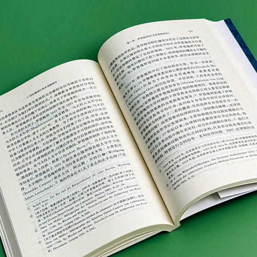 17世纪德国巴洛克戏剧研究 德国文学 戏剧研究 王珏 商品图10