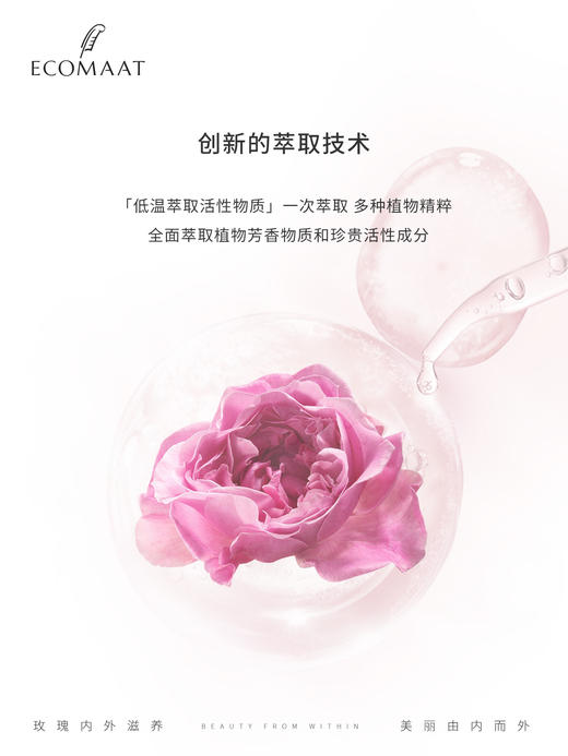 ⁶【保加利亚】ECOMAAT玫瑰露50ml  保加利亚产地玫瑰露+玫瑰精油+CO2超临界提取物 可搭配茶/奶/咖啡 SS06-QTT-OZSY 商品图4