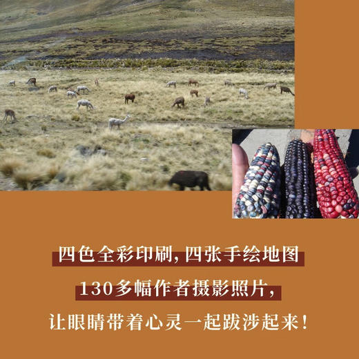 把我的心染棕 索飒 著 文学 商品图1