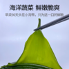 福建霞浦鲜采小海带 海洋蔬菜 洁净海域 鲜嫩脆爽 商品缩略图0