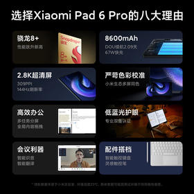 小米Pad6 Pro WIFI黑色8+256 GB