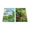 美丽散步系列（共2册）水边的大自然+林间的大自然，德国著名自然科普作家托马斯·穆勒经典作品 商品缩略图7