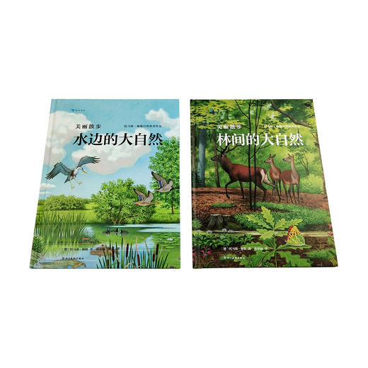 美丽散步系列（共2册）水边的大自然+林间的大自然，德国著名自然科普作家托马斯·穆勒经典作品 商品图7