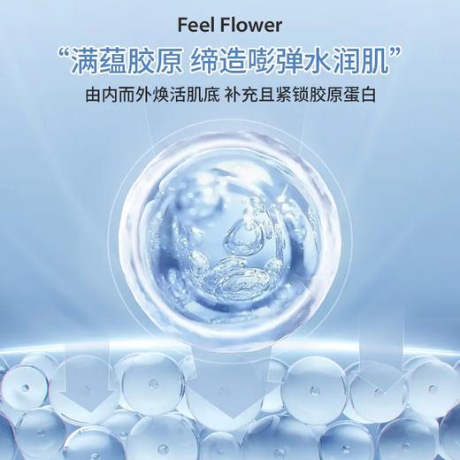 澳大利亚 Feel Flower斐利德 胶原蛋白肽透明质酸钠 / 大豆丹凤牡丹花压片糖果 商品图3