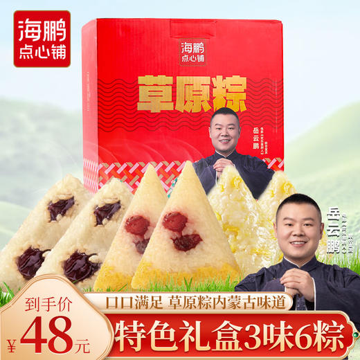 【端午礼盒】海鹏粽享草原礼600g 商品图0