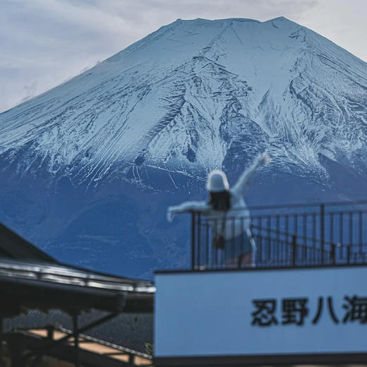 日本 | 本洲经典·9天8晚 商品图3