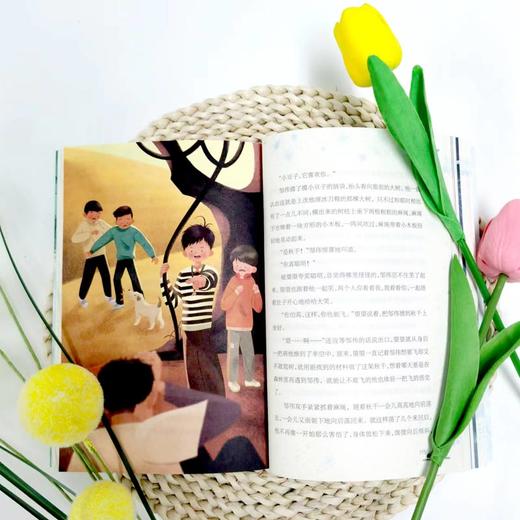 超级望望—— 一个像阿甘一般的少年，想要自由地在冰上“飞翔” 商品图5