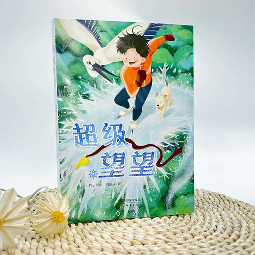 超级望望—— 一个像阿甘一般的少年，想要自由地在冰上“飞翔” 商品图3