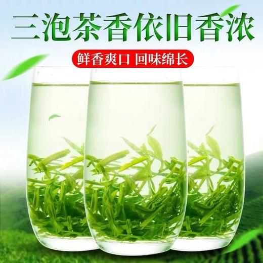 白露绿茶 秋茶 商品图2